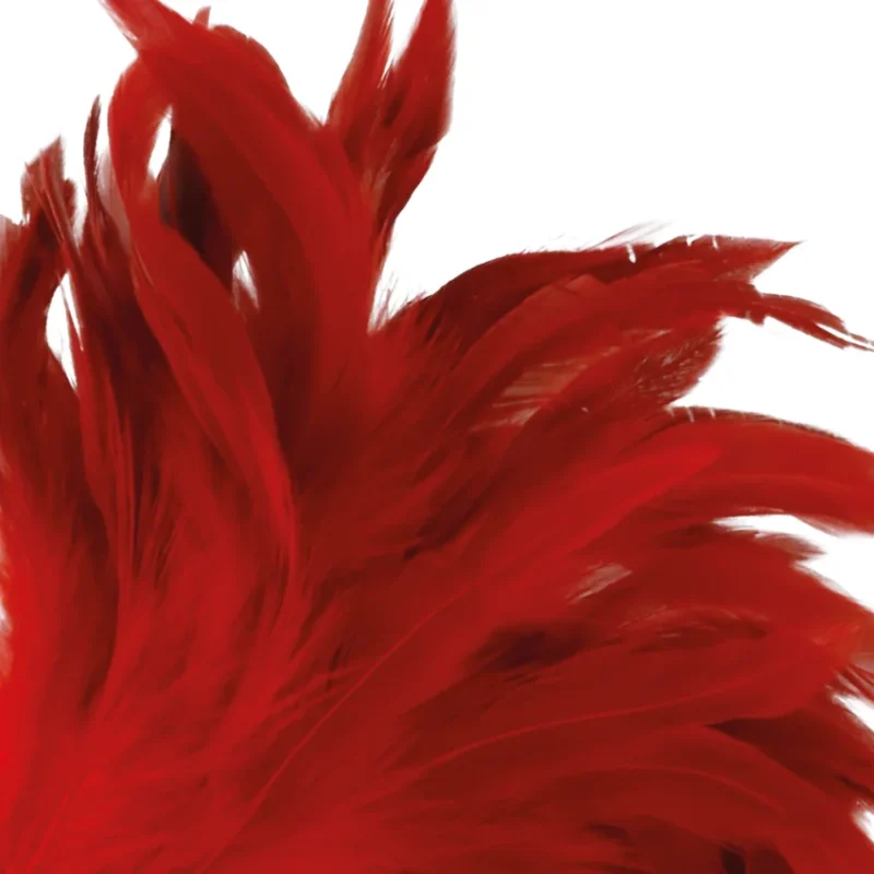 DARKNESS - Pluma Estimuladora Rojo 24cm - Imagen 3