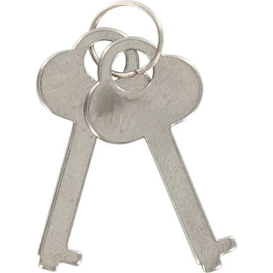 TOYJOY - Esposas Del Amor Rosa